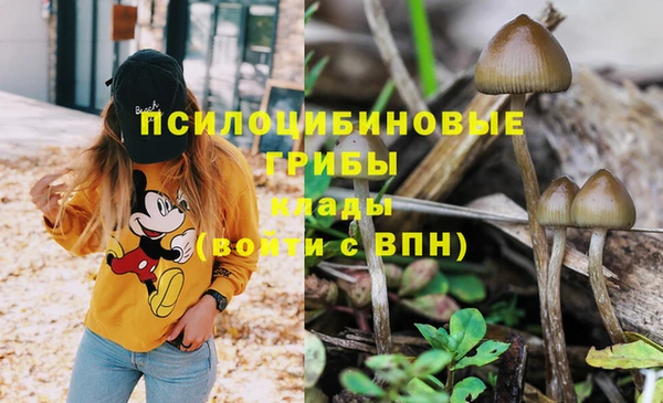 бошки Нея