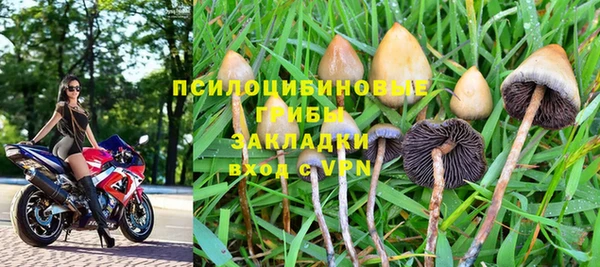 бошки Нея